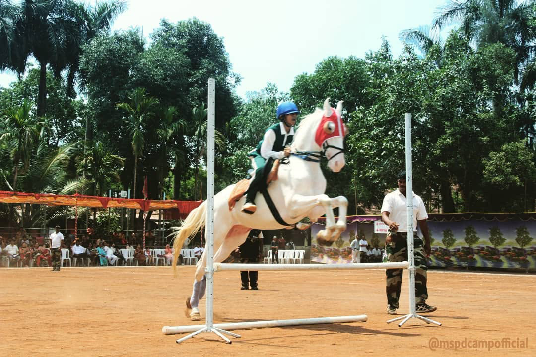 Gallery Image 6
